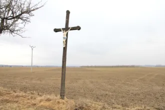 Master file0000058541