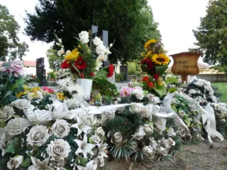 Master file0000058120