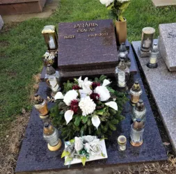 Master file0000060143