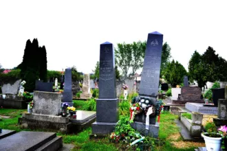 Master file0000078678