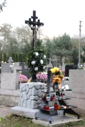 Master file0000063966