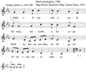 Master file0000050817