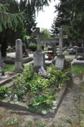 Master file0000060559