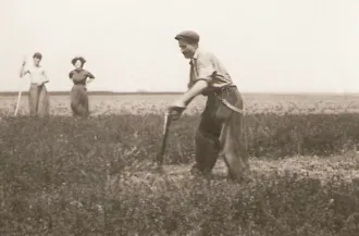 Master file0000054966