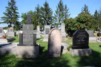 Master file0000074313