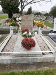 Master file0000062533