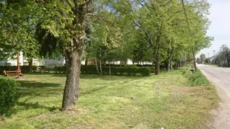 Master file0000061163