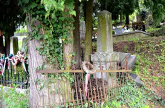 Master file0000058457