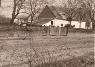 Master file0000053849