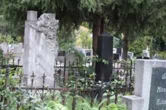 Master file0000059399