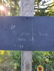 Master file0000066487