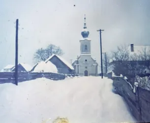 Master file0000081959