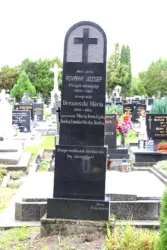 Master file0000069800