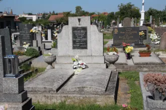 Master file0000063288