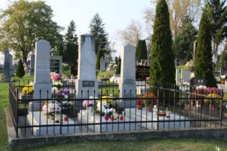 Master file0000059845