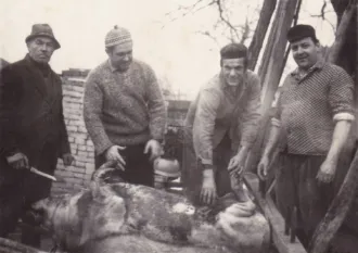 Master file0000055169