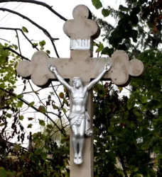 Master file0000063868