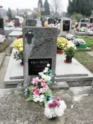 Master file0000066759