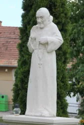 Master file0000062640