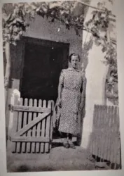 Master file0000053851