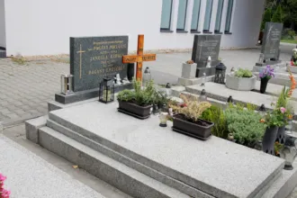 Master file0000060822