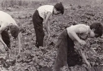 Master file0000057245