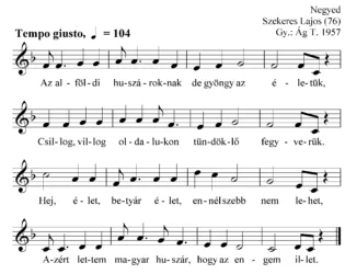 Master file0000050910