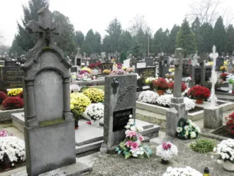 Master file0000066021