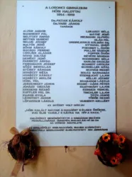 Master file0000060353