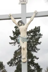 Master file0000061604