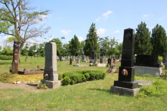 Master file0000062339