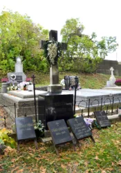 Master file0000060862