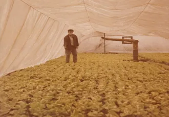 Master file0000057611