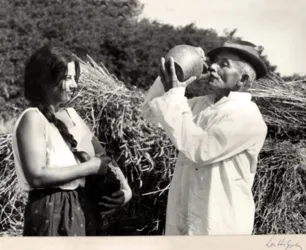 Master file0000057422