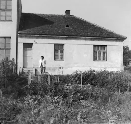 Master file0000054461