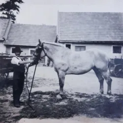 Master file0000080845