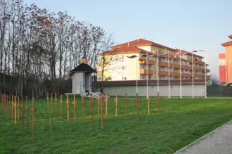 Master file0000058138