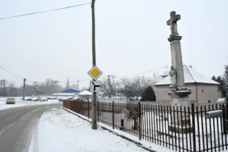 Master file0000066142