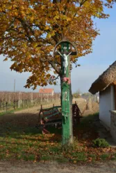 Master file0000066356