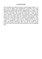 master_file0000040306-cover