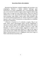 master_file0000040637-cover