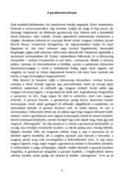 master_file0000040823-cover