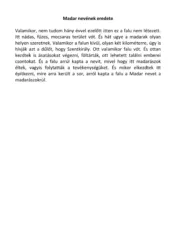 master_file0000040581-cover