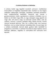 master_file0000040781-cover