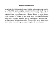 master_file0000040811-cover