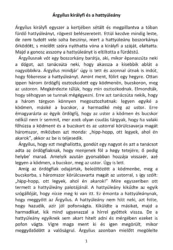 master_file0000040479-cover