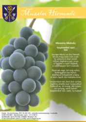 master_file0000080884-cover