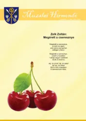 master_file0000080894-cover