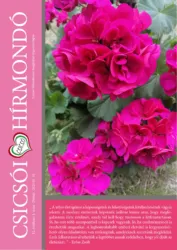 master_file0000081521-cover