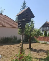 Galamdúc Csicsó 20250816 141230